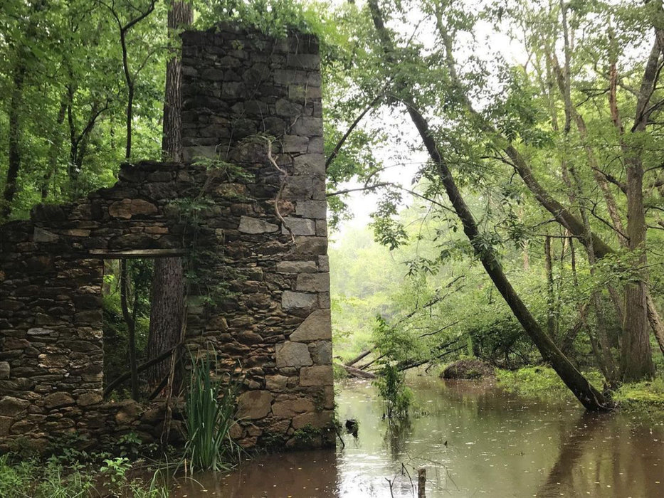 River Bushcraft Adventure