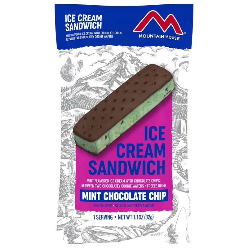 Mint Chocolate Chip Ice Cream Sandwich