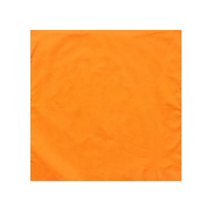 Blaze Orange Bandana