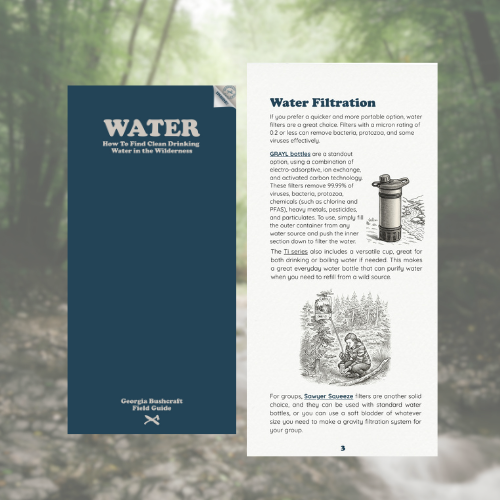 Field Guide: Water – How to Find Clean Drinking Water in the Wilderness