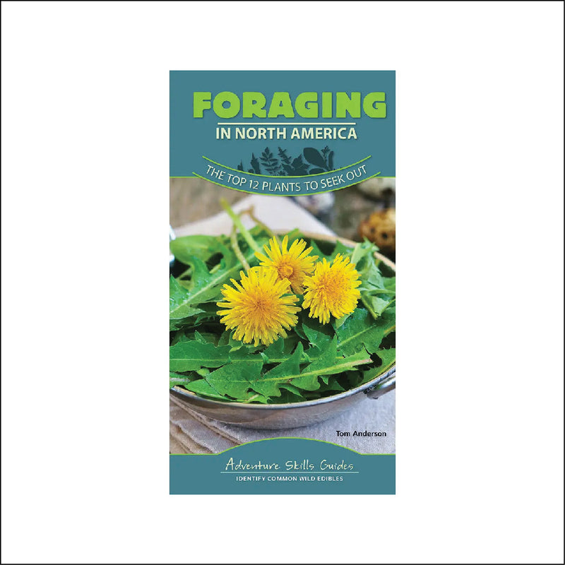 Foraging in North America Quick Guide