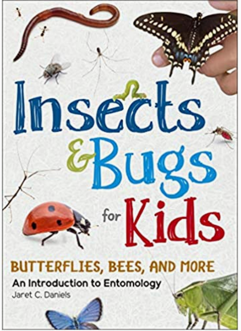 Insects & Bugs For Kids