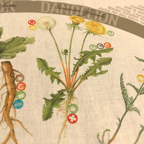 Wazoo Foraging Field Bandana