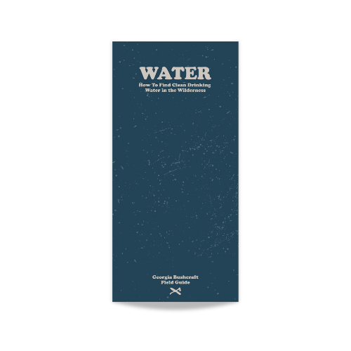 Field Guide: Water – How to Find Clean Drinking Water in the Wilderness
